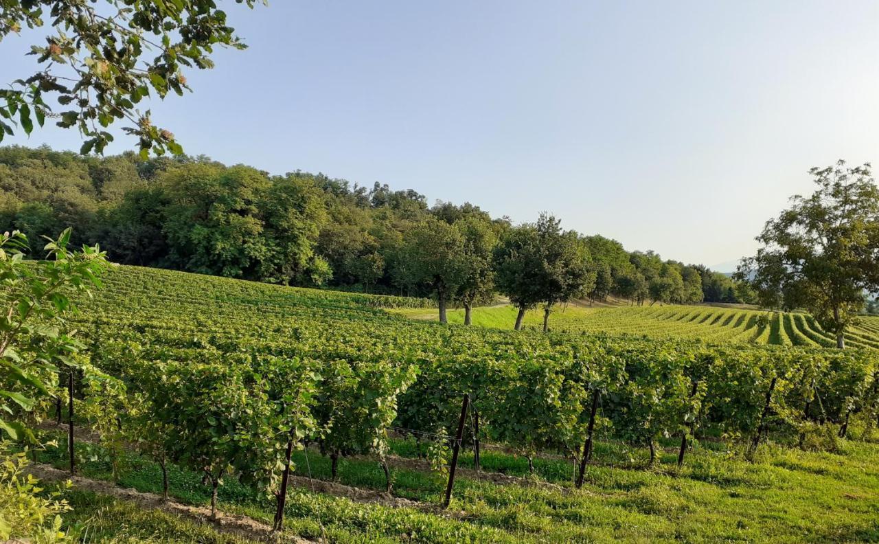 Vicolo Del Nido B&B Paderno Franciacorta Dış mekan fotoğraf