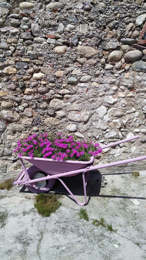 Vicolo Del Nido B&B Paderno Franciacorta Dış mekan fotoğraf